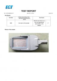 LD05 IK09 SERTIFICATE