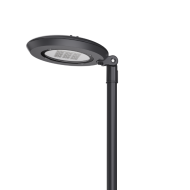 laşê ronahiya baxçeyê